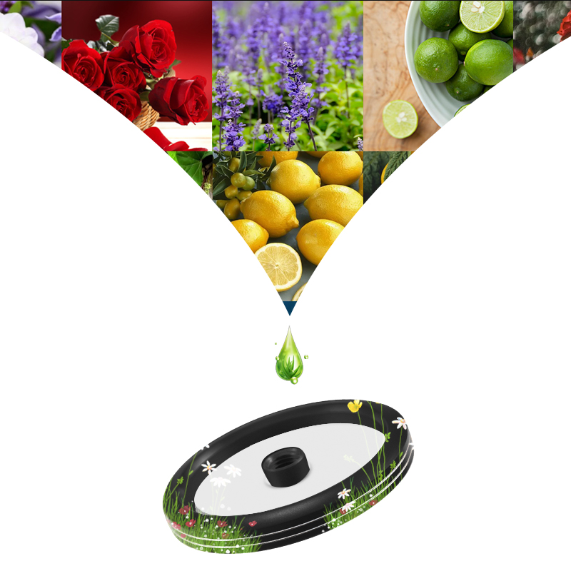 Car Styling Fragrance Diffuser - Perfume Fragrance One のレビューと価格