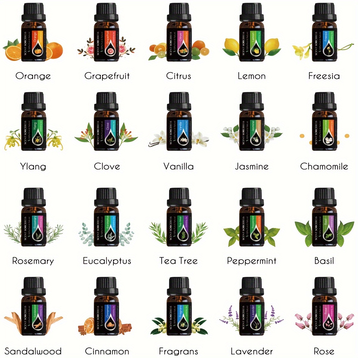 20pcs/set Essential Oil Set La - Perfume Fragrance Essence のレビューと価格